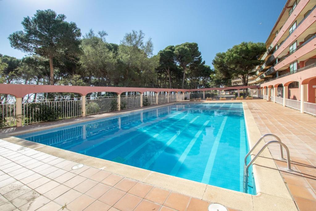 a large swimming pool in a building at Salines in L'Estartit