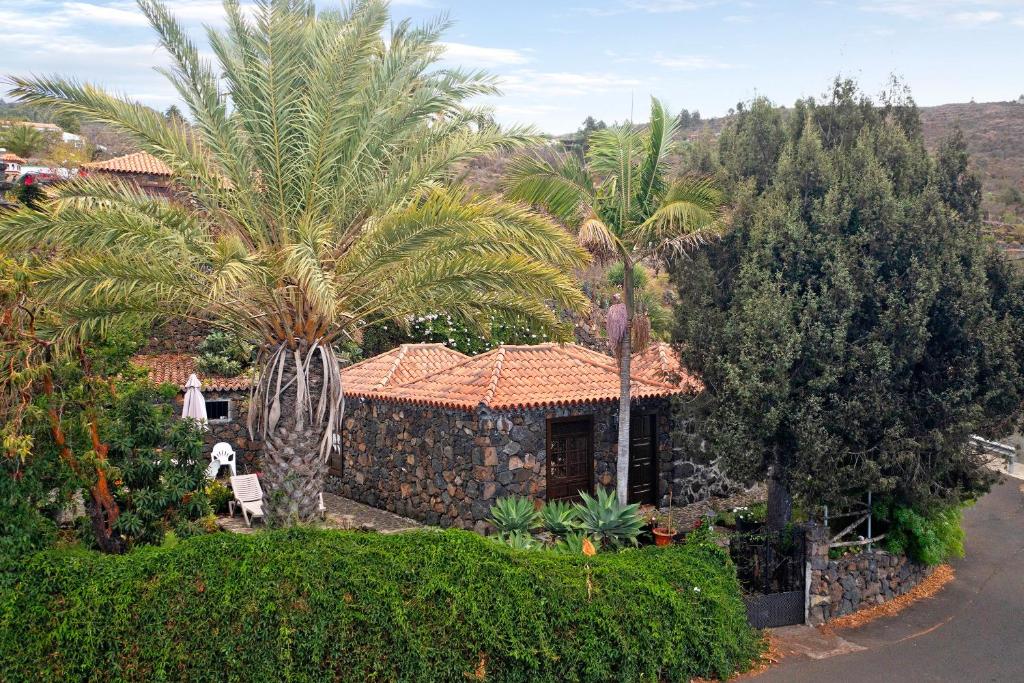 a house with palm trees in front of it at El Morro in Tijarafe