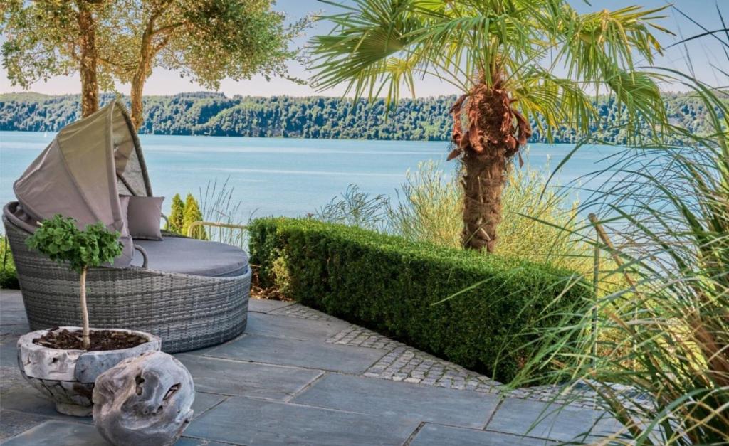 a garden with a chair and a palm tree at Haus Seeblick in Sipplingen