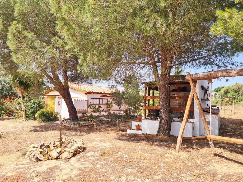 a house with a tree and a swing at Casa do Avô António in Bensafrim