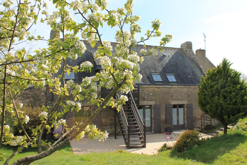 an apple tree in front of a house with a ladder at Gîtes Ker Mané in Erdeven