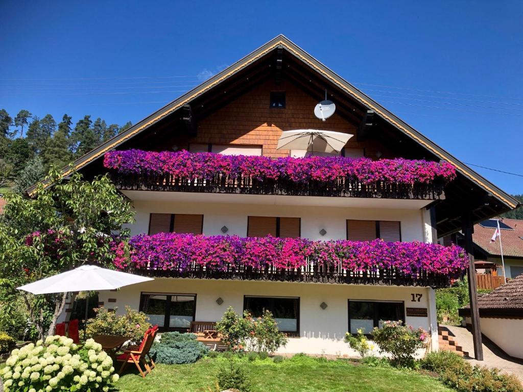 a building with purple flowers on a balcony at Haus Hubertus in Enzklösterle