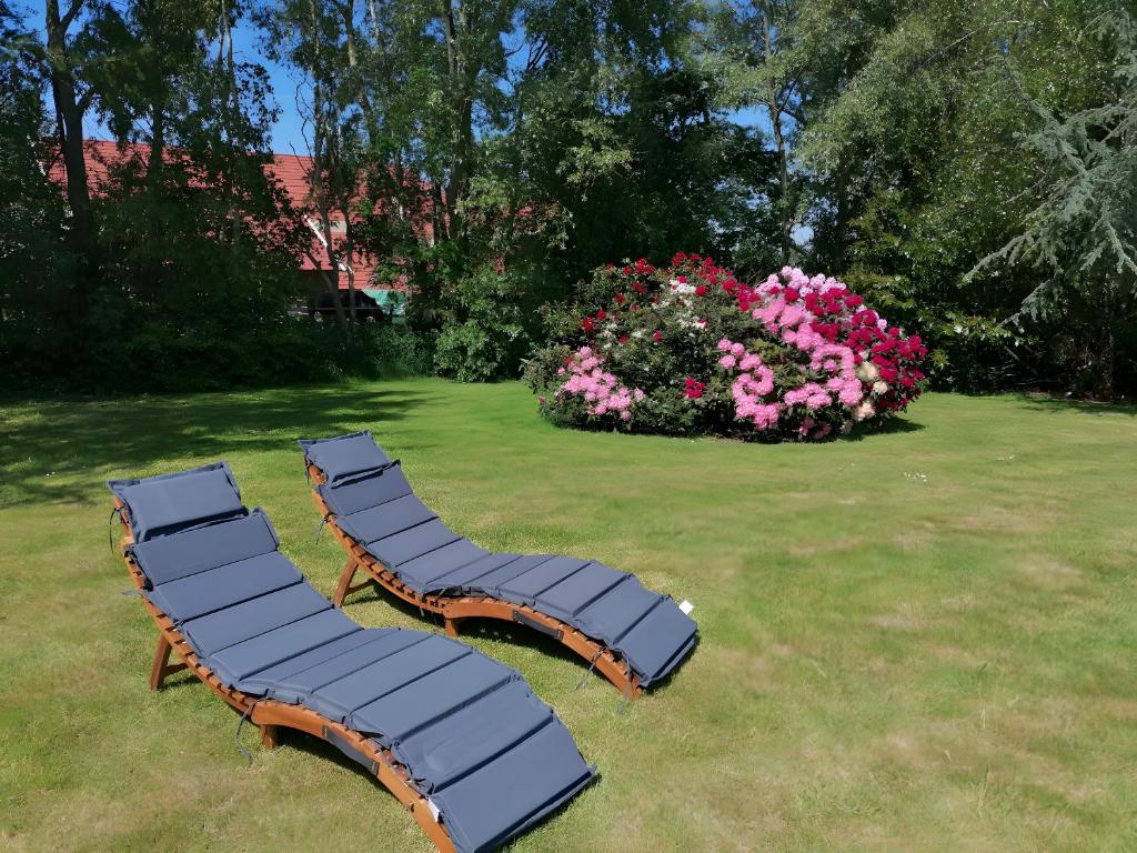 two chairs in a yard with a bush of flowers at Dat Haddehuus in Wangerland