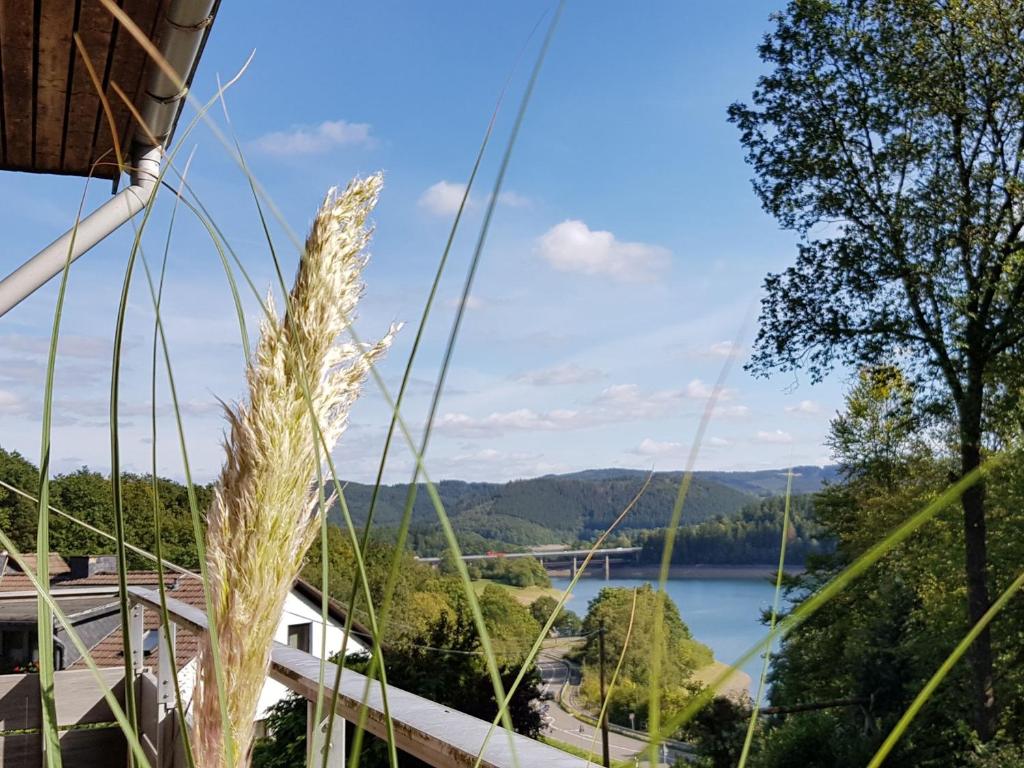 a view of a lake from a building at Hof Weuste Fewo Lister in Attendorn