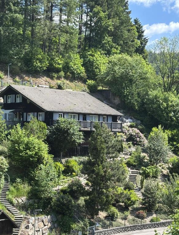 a house in the middle of a hill with trees at Ferienhaus Lena in Seebach