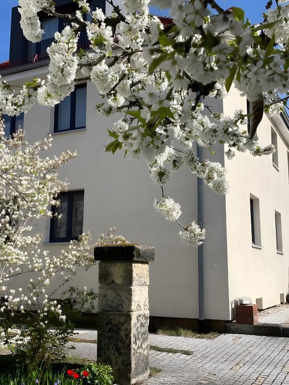 a tree with white flowers in front of a building at Ferienwohnung Skyline Suite in Bayreuth