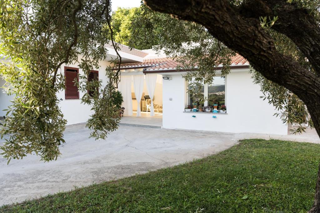 a white house with a tree in front of it at Domo Bonaeras in Irgoli