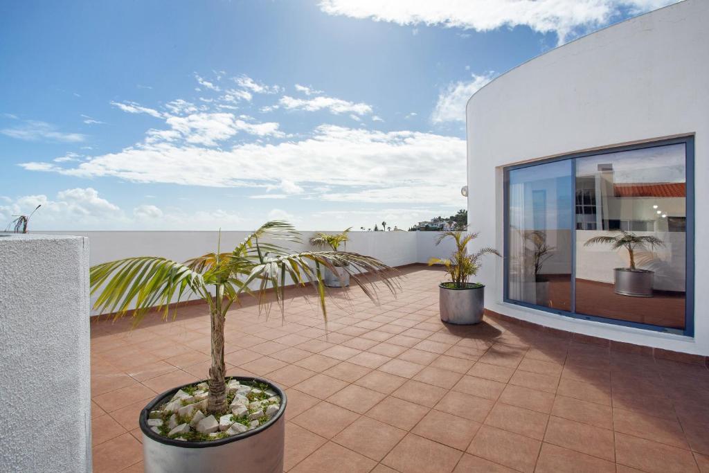 a balcony with a potted plant on a building at Apartamento Lolita com Terraço in Caniço