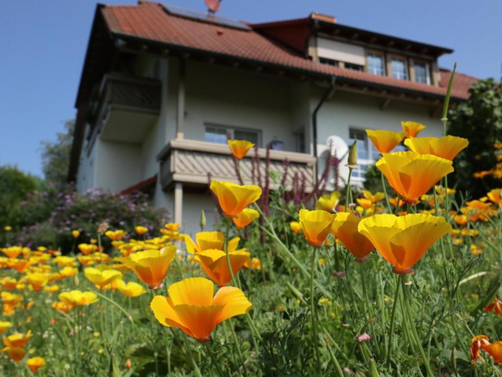 a field of yellow flowers in front of a house at Ferienwohnung Haus Doris in Rickenbach