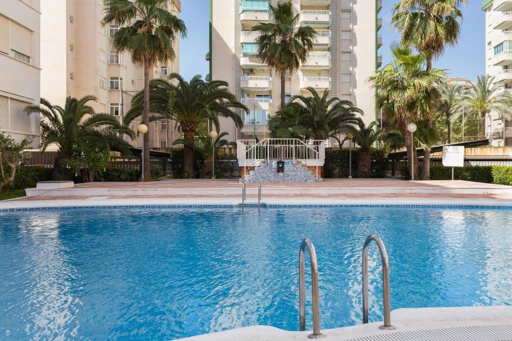 a large swimming pool with palm trees and buildings at Las Alondras in Gandía