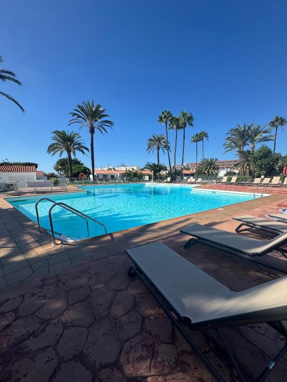 a swimming pool with lounge chairs and palm trees at Los Porches k29 in Playa del Ingles