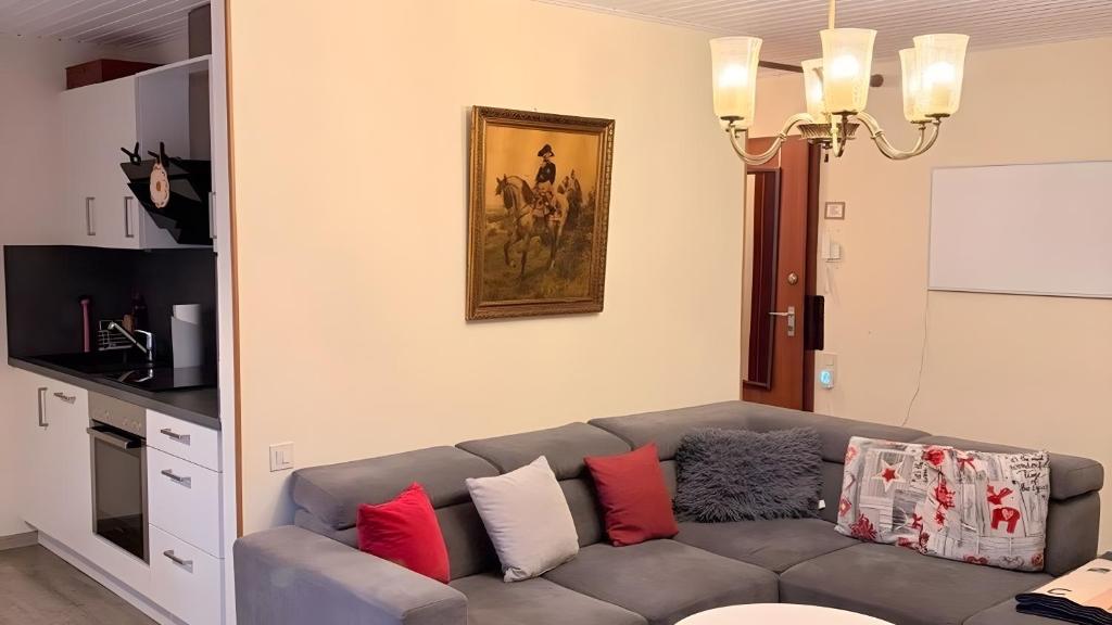 a living room with a gray couch with colorful pillows at Ferienwohnung Schöntal in Ludwigswinkel