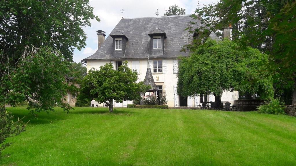 a large white house with a green lawn at Chateau De Chaunac in Naves