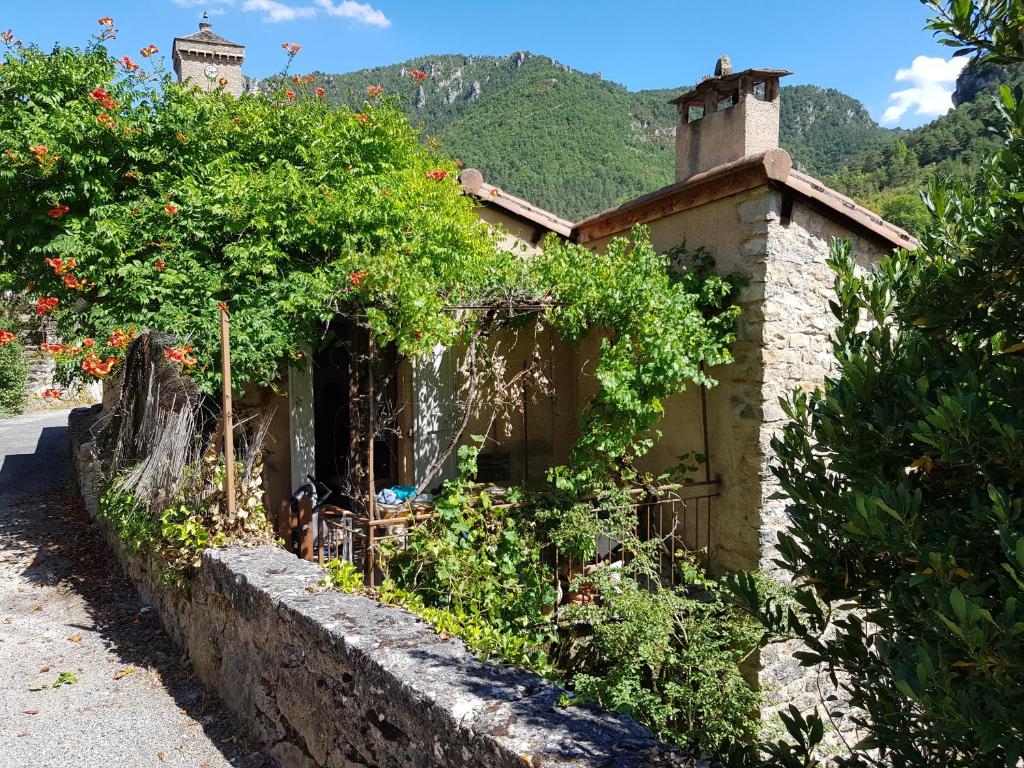 a house with a bunch of plants on the side of a road at Rives du Tarn in Peyreleau