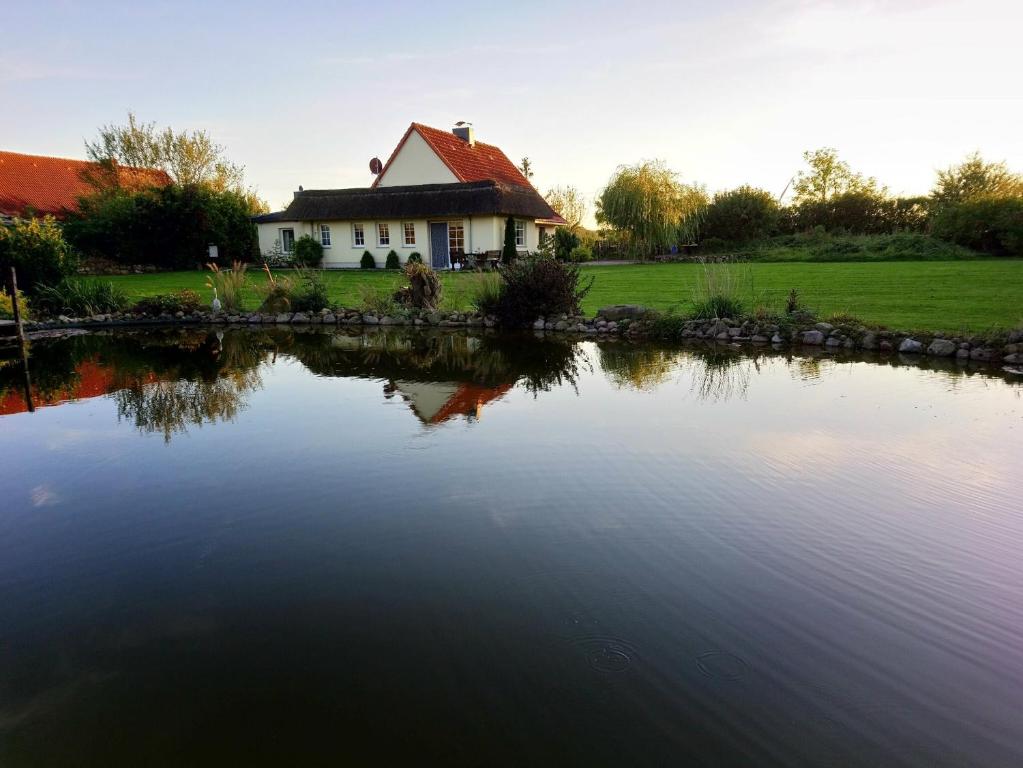 a house with a large pond in front of it at Naturteich-Haus in Kalkhorst