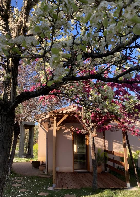 a building with a tree with pink flowers at Petit nid pour oiseaux de passage in Cayriech