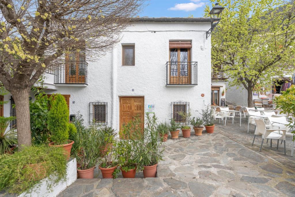 a white house with potted plants in front of it at Casa Pepa in Pampaneira
