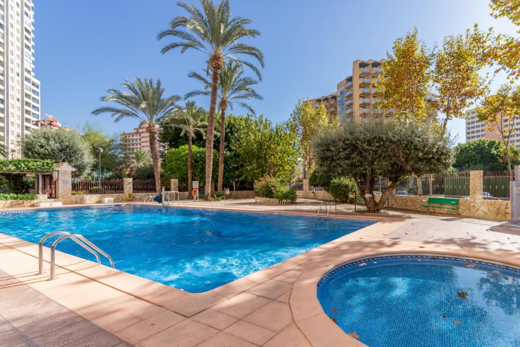a large swimming pool with palm trees and buildings at Moby Dick in Benidorm