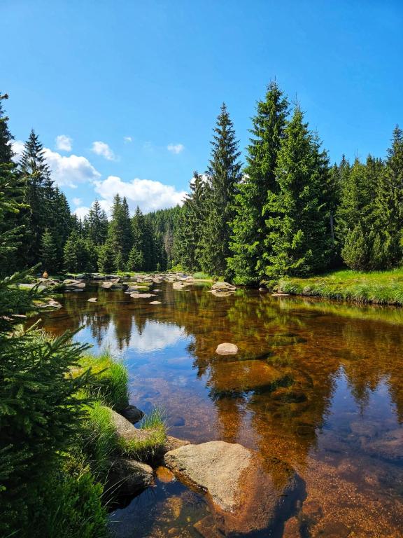 Clear river reflecting trees and blue sky, rocky banks and evergreen forest setting