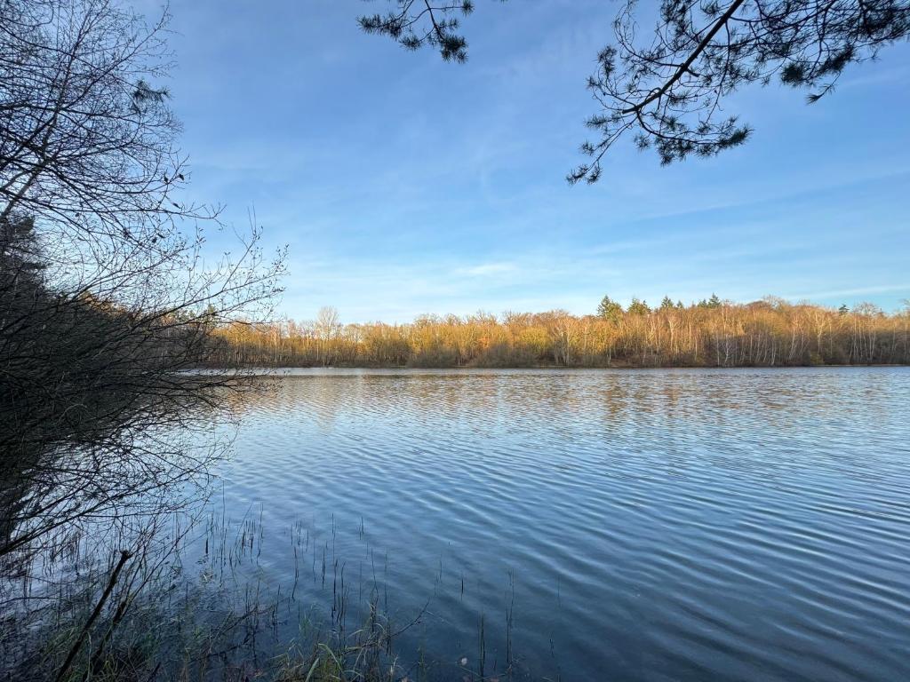 a large body of water with trees in the background at Ahlers am Wald in Edewecht