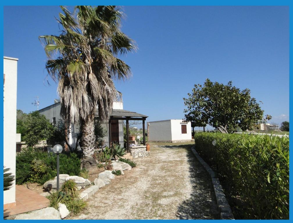 une maison avec un palmier à côté d'une allée dans l'établissement Isola Di Favignana, à Favignana