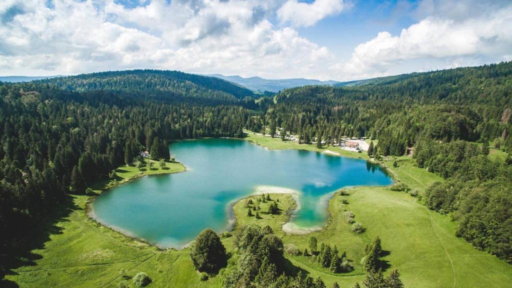 an aerial view of a lake in the middle of a forest at Entre Lacs et Sapins in Dortan