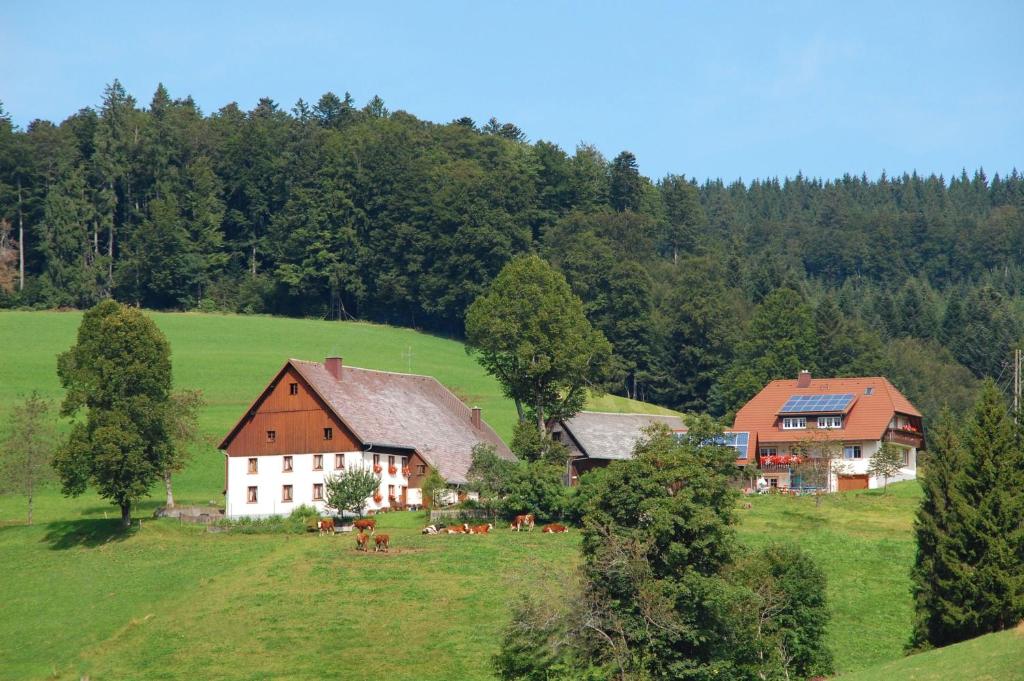 a group of cows in a field next to a house at Baschijörgenhof in Sankt Peter