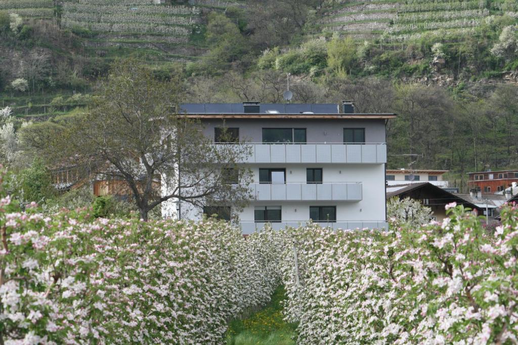 a white building on a hill with flowers at Waalhof Ferienwohnung Apfelblüte in Silandro