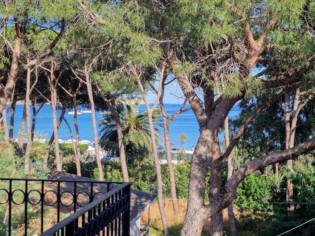 a balcony with a view of the ocean and trees at Casa Diamante Blu Mare in Marina di Campo