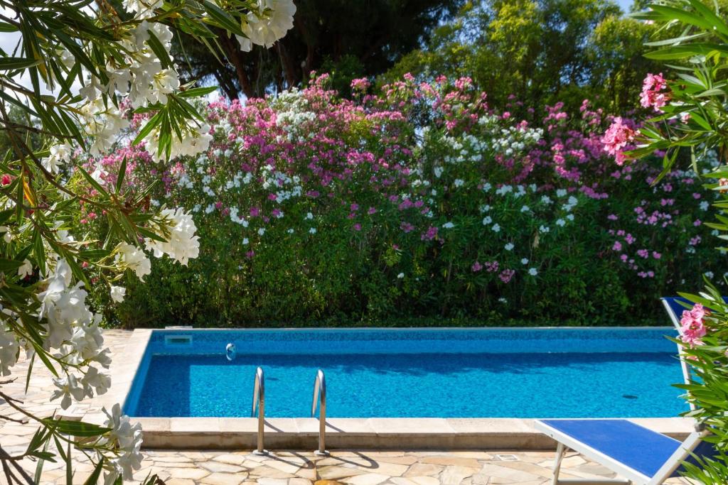 a blue swimming pool with pink flowers and bushes at Bilo Gardenia in Marina di Grosseto