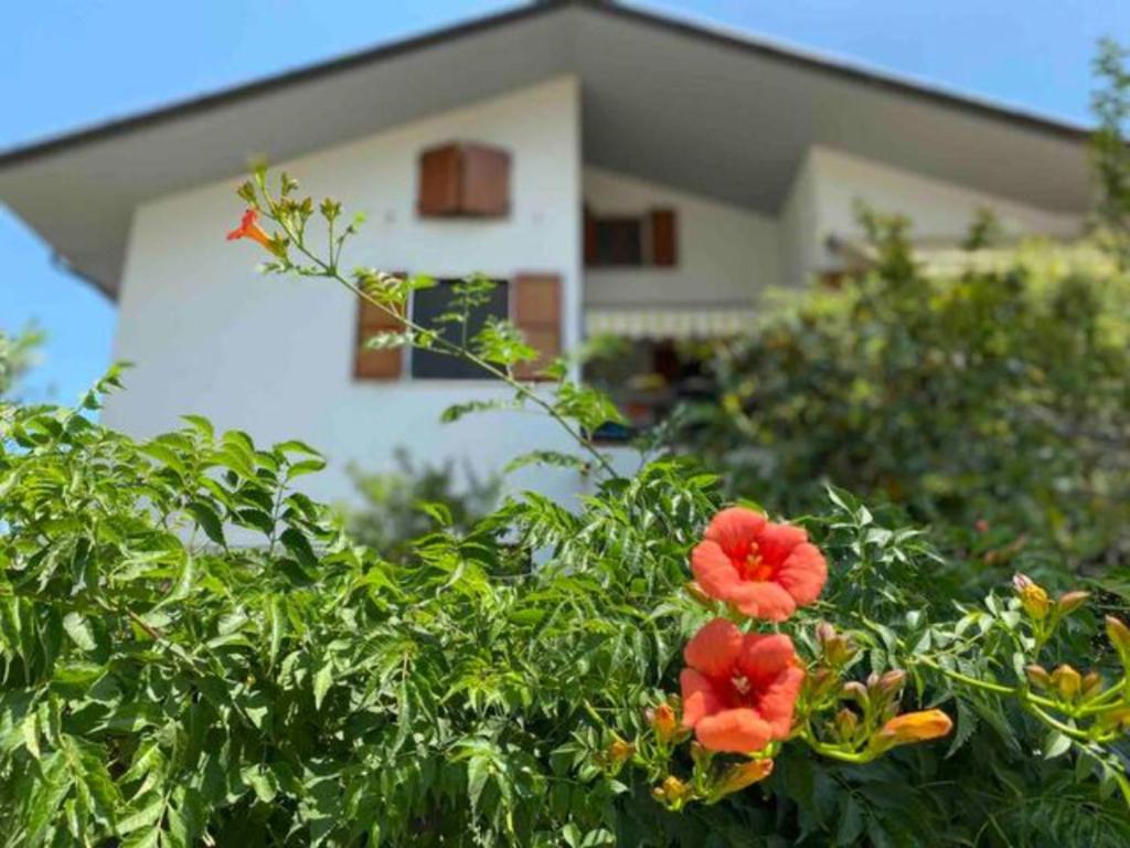 a house behind a bush with red flowers at Via Verdi 14 in Mondolfo