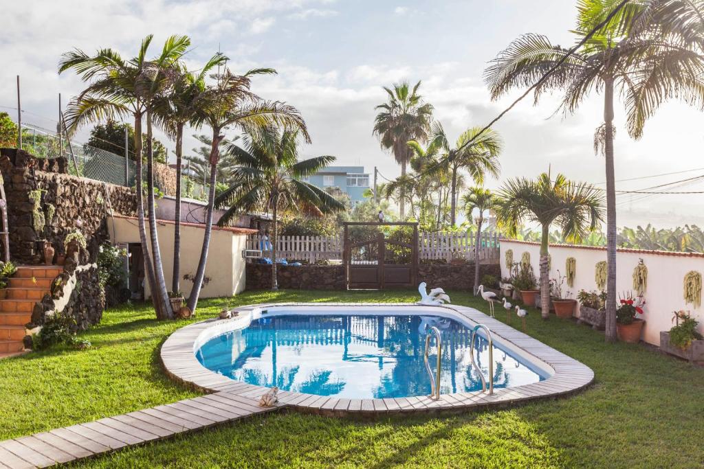 a swimming pool in the yard of a house with palm trees at Casa Victor - Apartment 2 in La Orotava