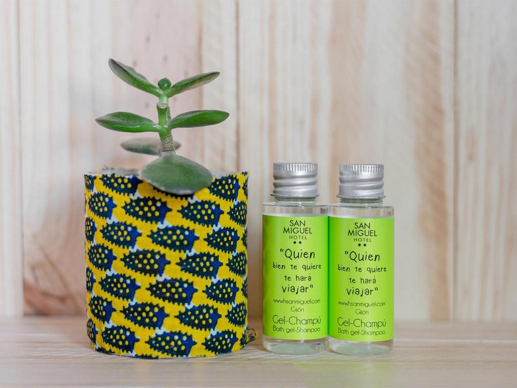 Hotel San Miguel - 9