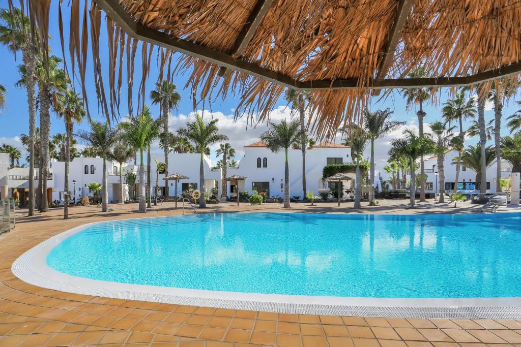 a swimming pool with palm trees and white buildings at Oasis Duna - Casa Amanay in Corralejo