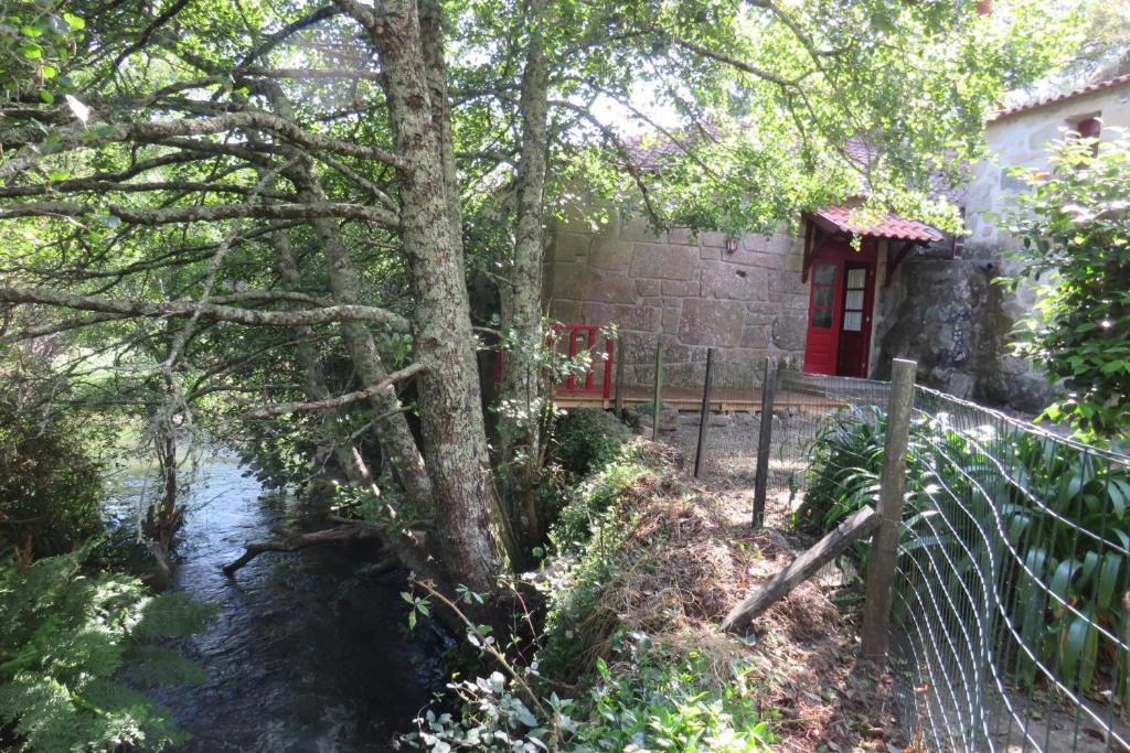 a house with a tree next to a river at Casa Da Azenha in Baião