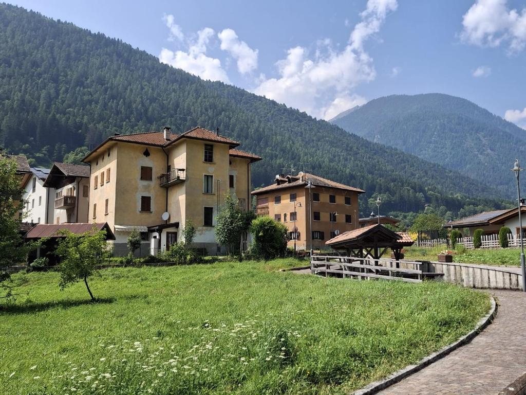 a group of buildings in a field with mountains in the background at Appartamento Ca' Mocc in Porte di Rendena