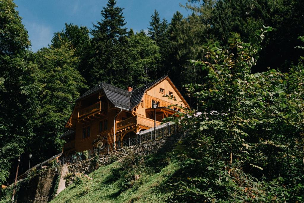 a house on top of a hill with trees at Pensjonat Alpejski Dwór in Miedzygorze