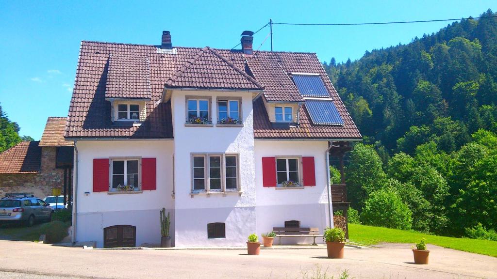 a large house with red shutters on a mountain at Fewo Moonshine 79 in St. Blasien