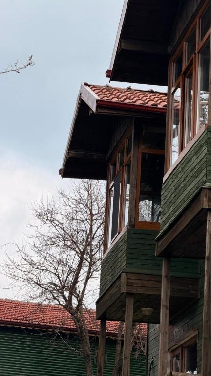a green building with a tree in the background at Diamond Koru Hotel in Amasra