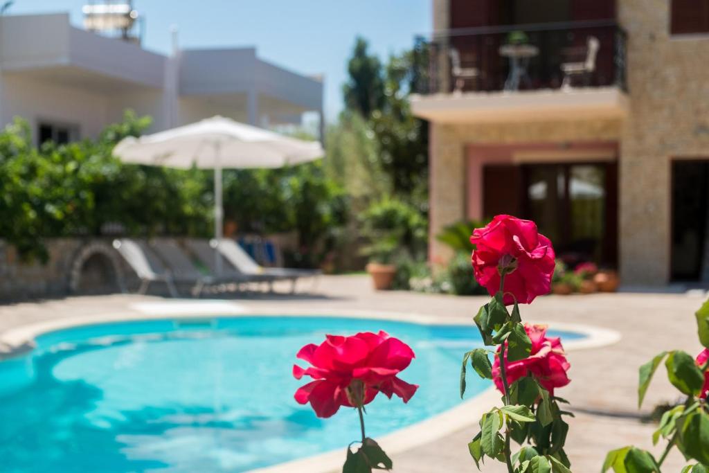 roślina z czerwonymi kwiatami obok basenu w obiekcie Erodios Villas 1 w mieście Gerani