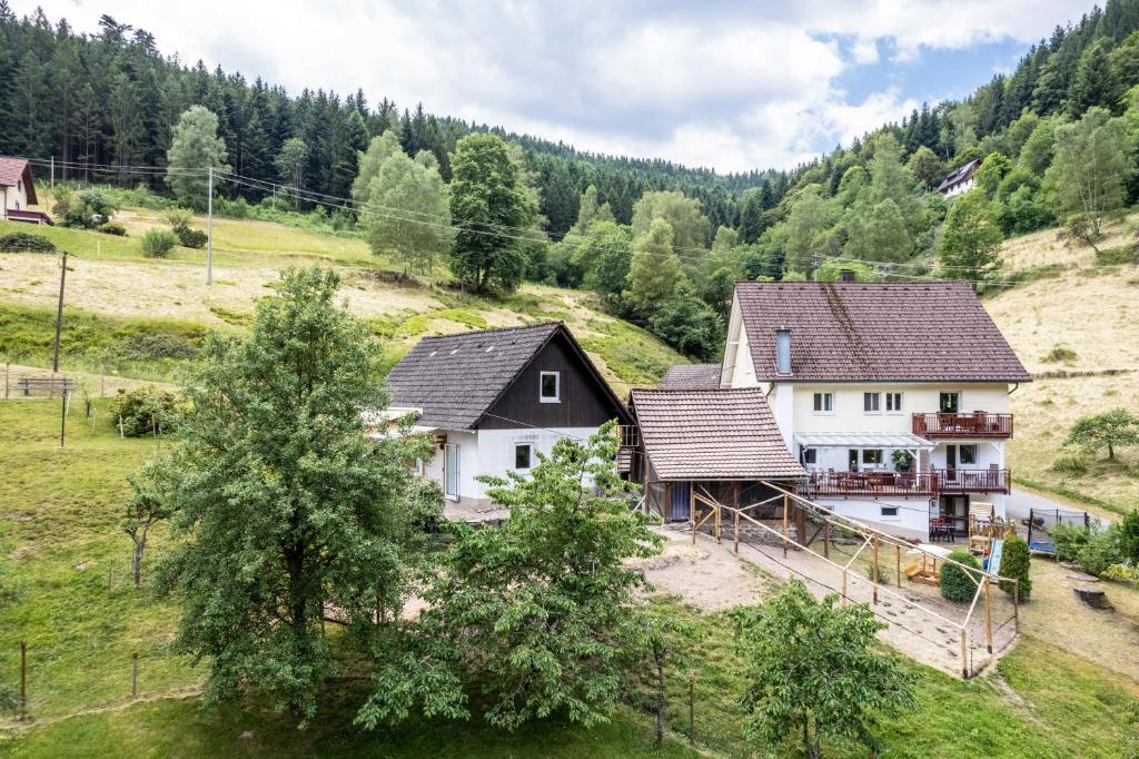 an aerial view of three houses in a field at Haus Am Waldrand in Schenkenzell