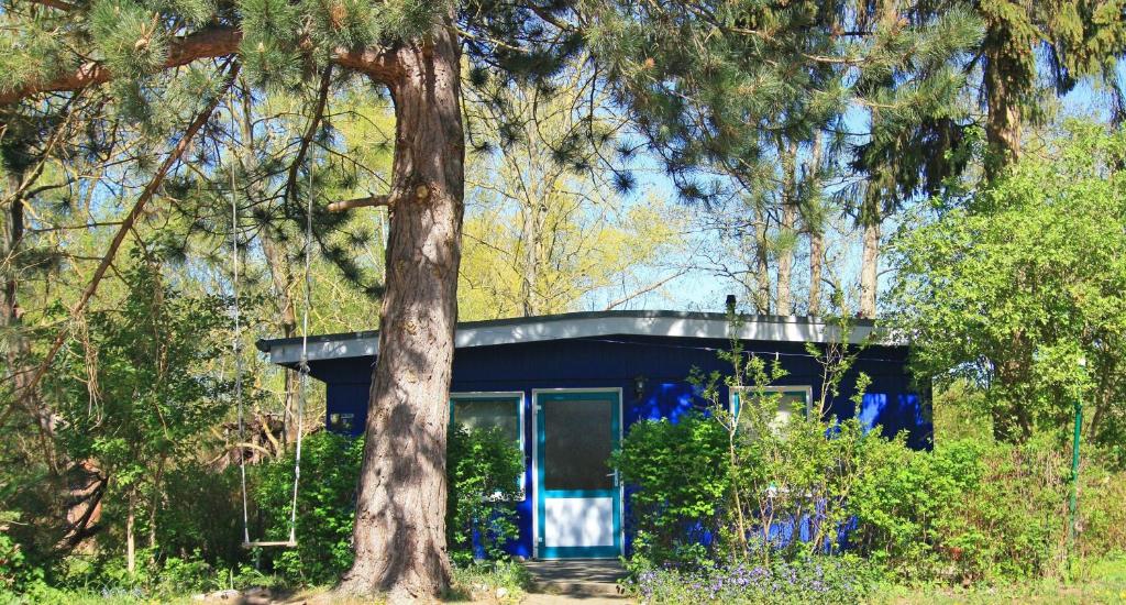 a blue house with a tree in front of it at Blauer Bungalow am See mit Boot in Klein Labenz