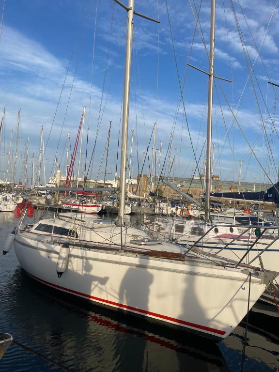 a white sail boat docked in a harbor at Voilier Miraflores in Cherbourg en Cotentin