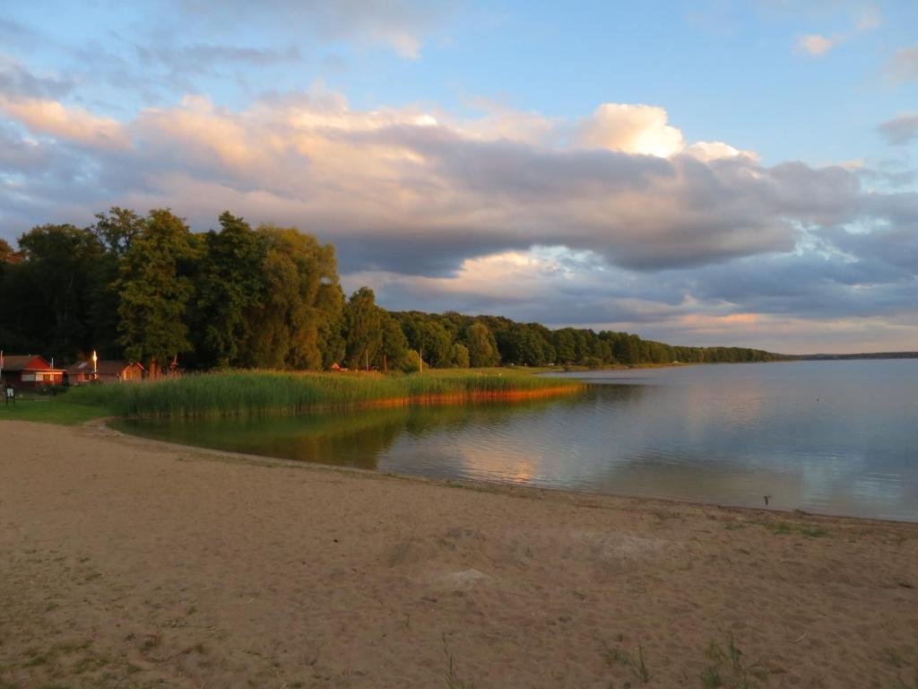 a view of a lake with trees in the background at Strandhaus am Oberuckersee in Warnitz
