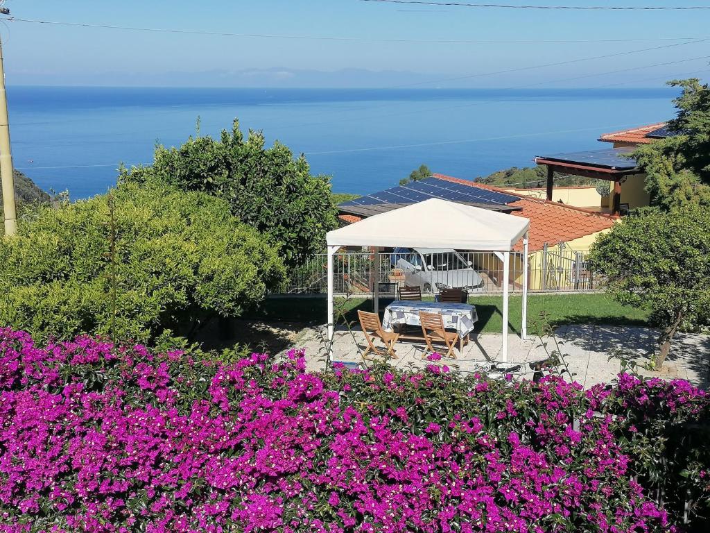 a garden with a gazebo and purple flowers at Il Mirto in Marciana