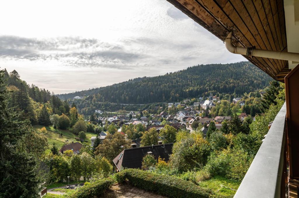 a view of a town in a valley with trees at Ferienwohnung Ursel in Todtmoos