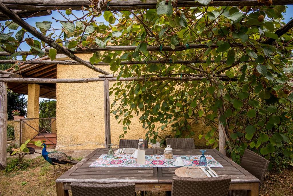 a wooden table with a peacock standing behind it at Glicine in Montieri