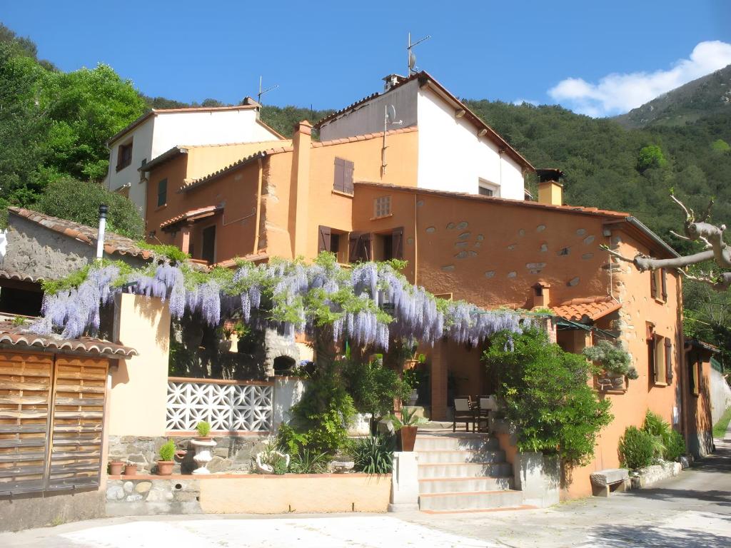 a building with a bunch of wisteria hanging from it at Le Mas in Arles-sur-Tech