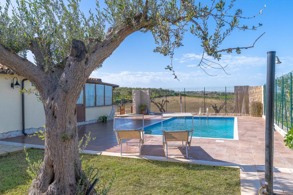 a house with a pool and two chairs next to a tree at Casa Cantina Scalecci in Noto