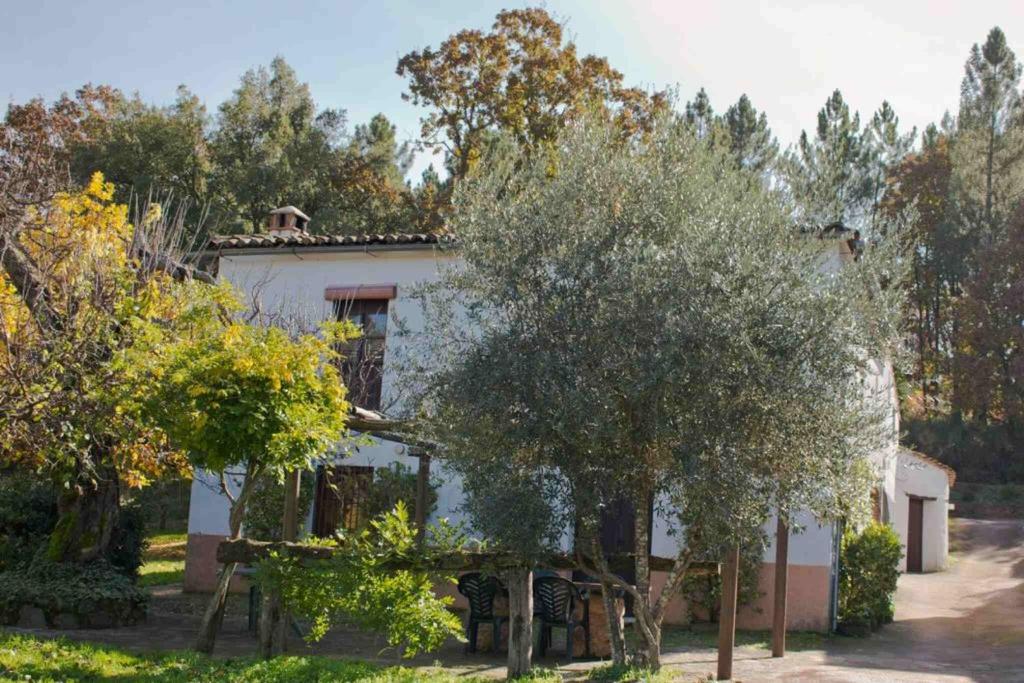 a white house with trees in front of it at Los Cascos in Fuenteheridos